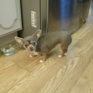 Meet your Posher, Pamela